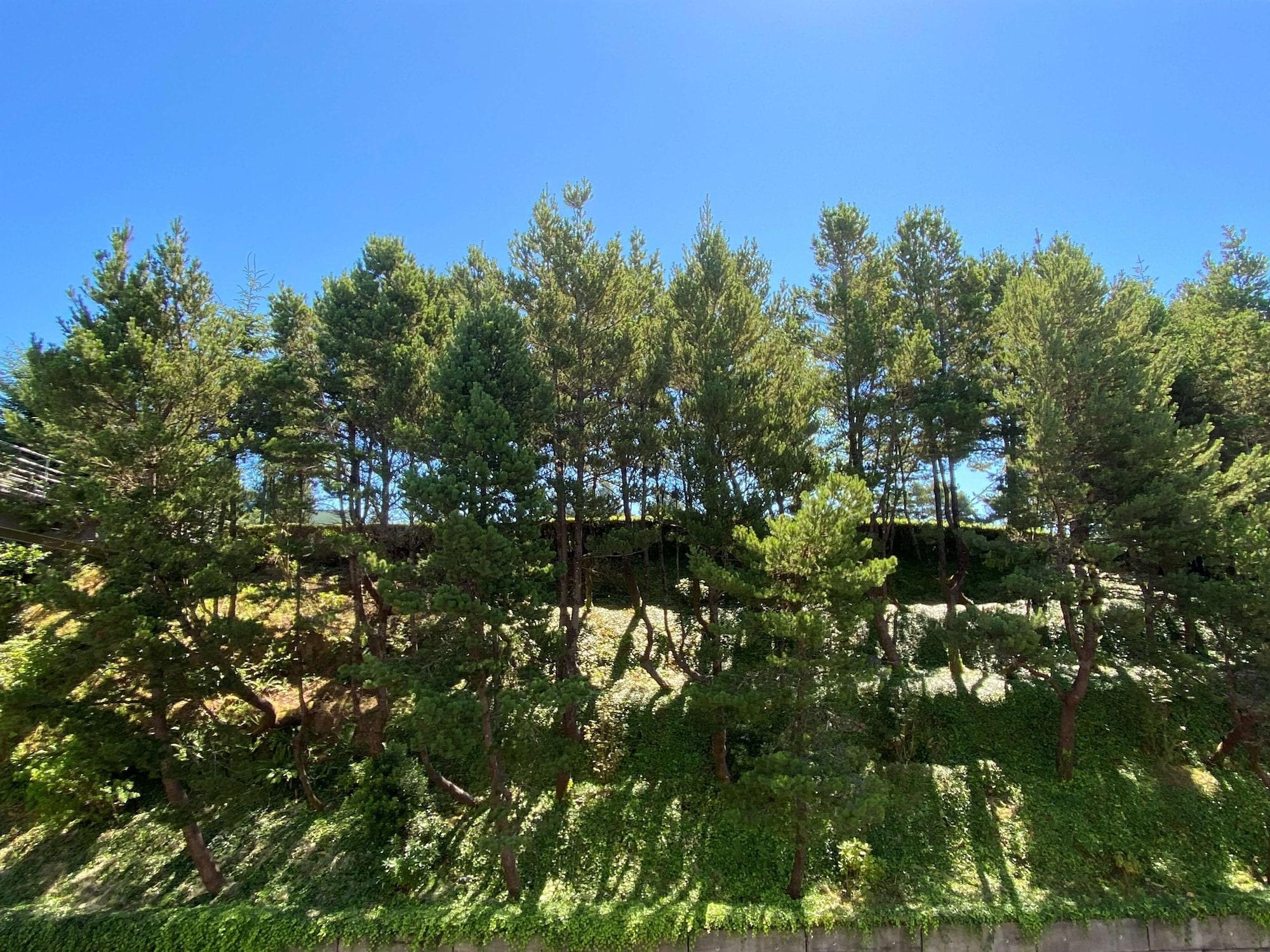Best Western Plus Agate Beach Inn Newport Luaran gambar